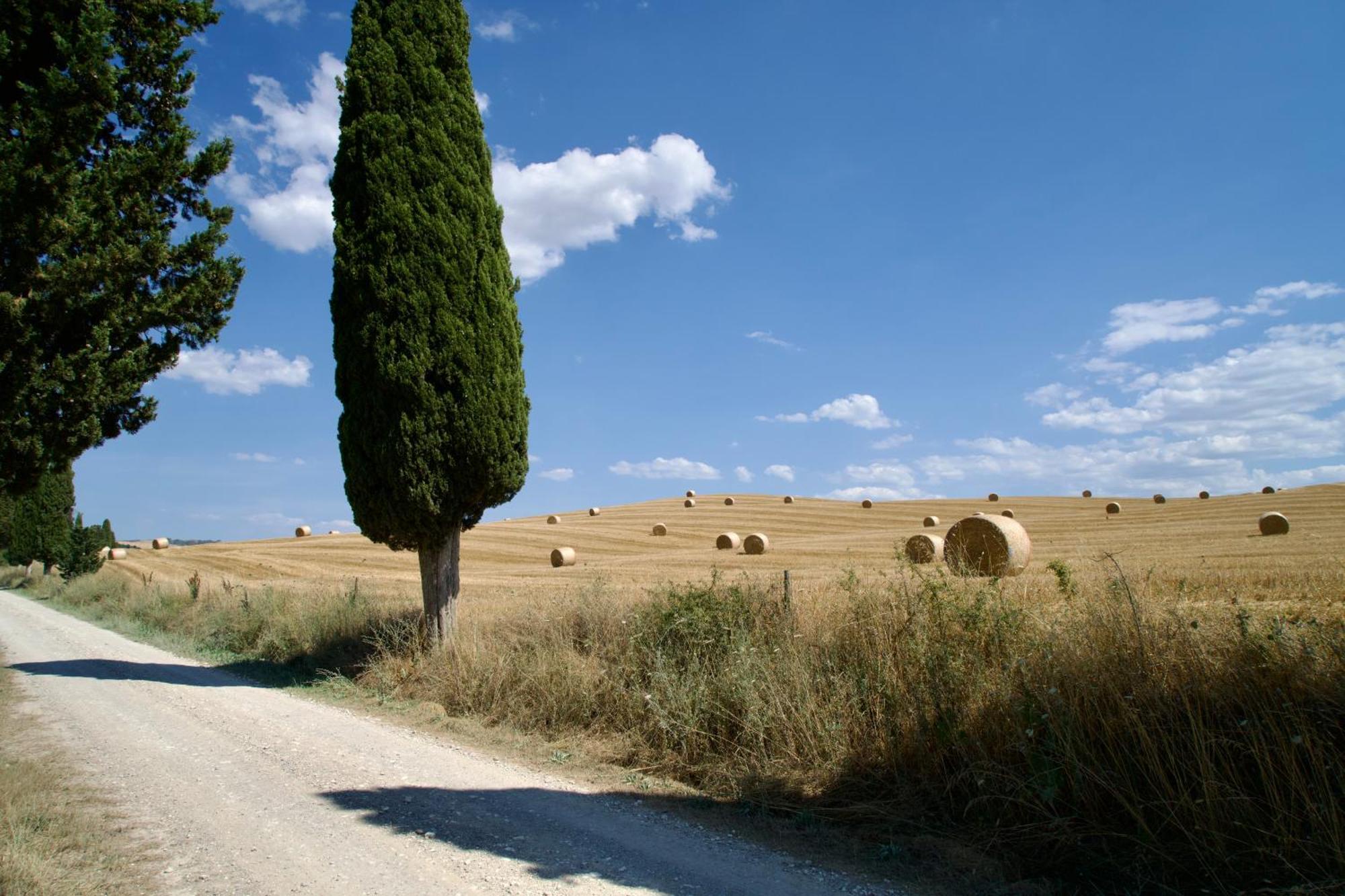 Bed and Breakfast L'Olmo Monticchiello Exterior foto